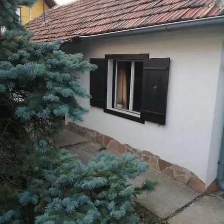 Apartment Nebojsa Rudnik