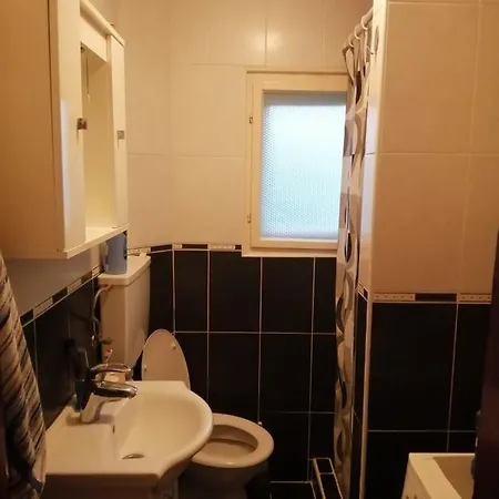 Nebojsa Rudnik