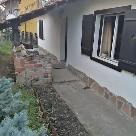 Nebojsa Apartment *