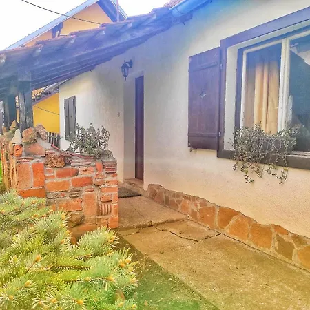 Nebojsa Apartment