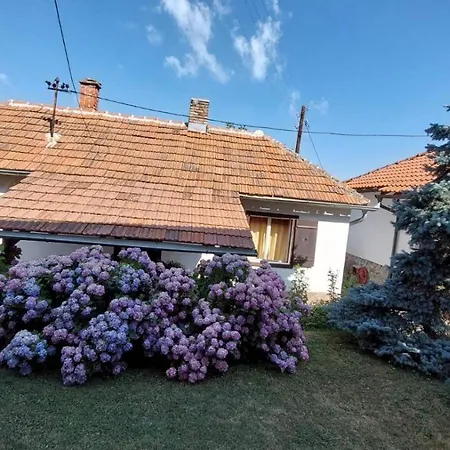 Nebojsa Apartment *
