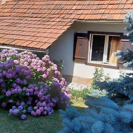 Nebojsa * Rudnik