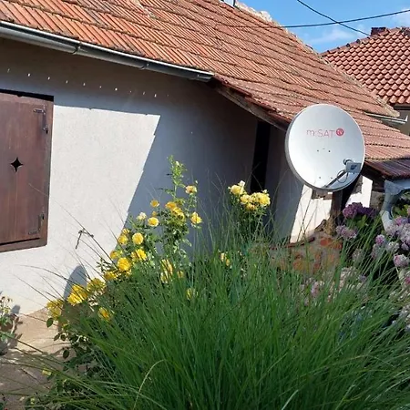 Apartment Nebojsa