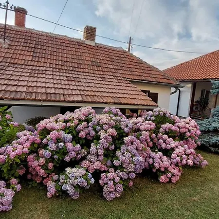 Nebojsa