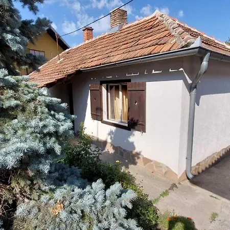 Nebojsa Apartment *