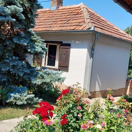 Nebojsa