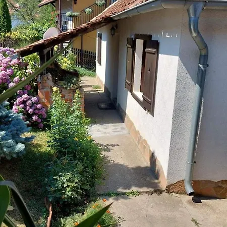 Nebojsa *