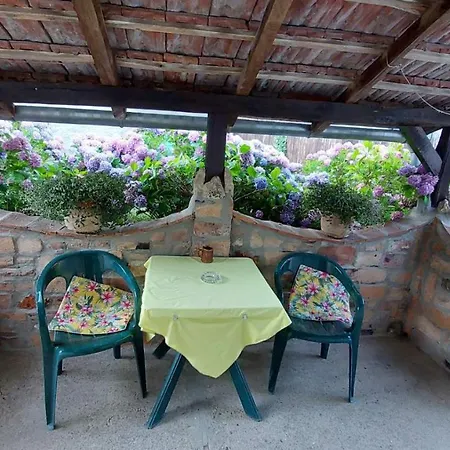 Apartment Nebojsa *