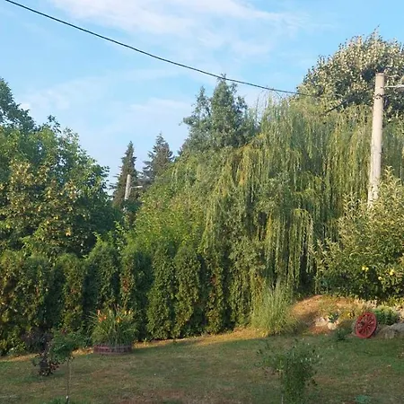 Nebojsa Apartment