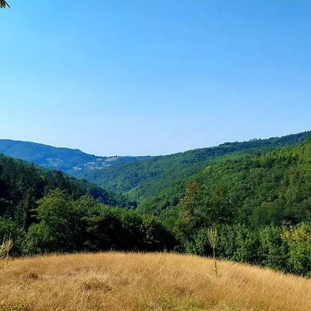 Nebojsa Rudnik