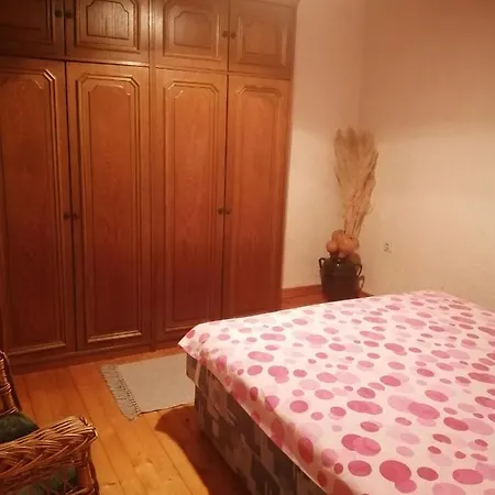 Nebojsa Apartment *