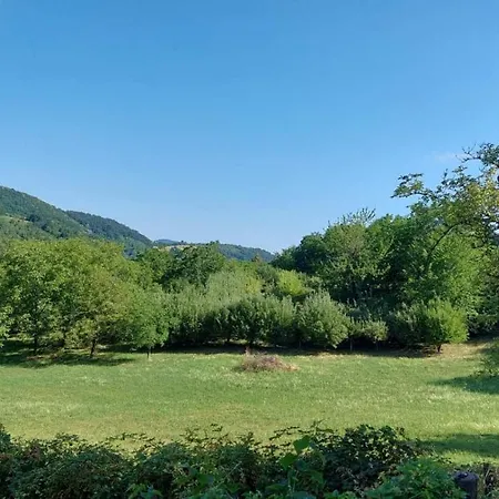 Nebojsa Apartment Rudnik